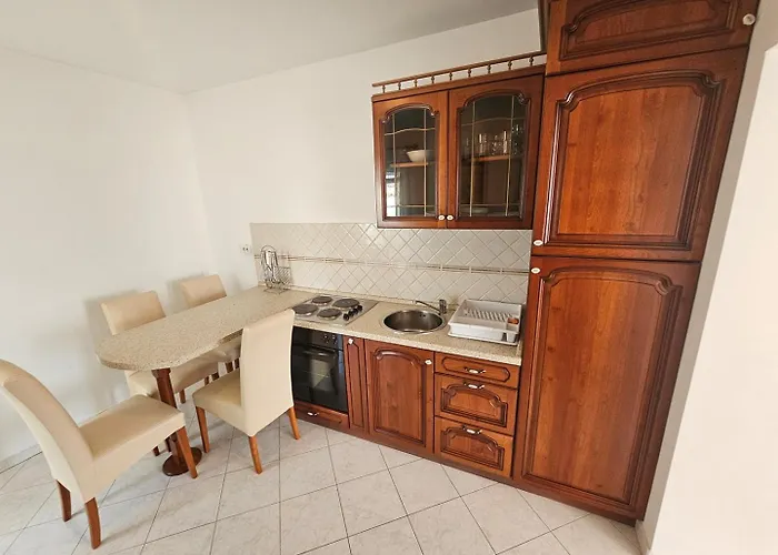 アパート Visnja Nv 4 - For 3 Persons With Terrace ノヴィ・ヴィノドロスキー